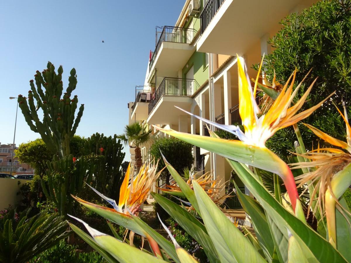 Апартаменты Brisas Del Mar Azul Торевьиа Экстерьер фото